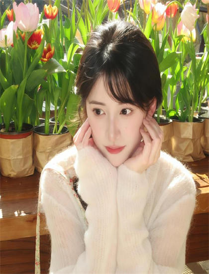 《威姆与灵猴》欣赏手册：欣赏艺术表现与美学价值 丰富文化知识的实用方法